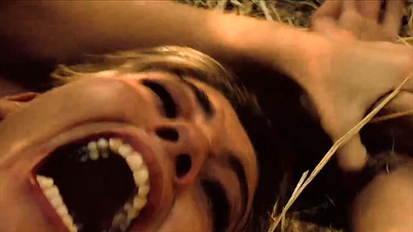 cementeriodehistorias_parejitanelcampo_frameweb11